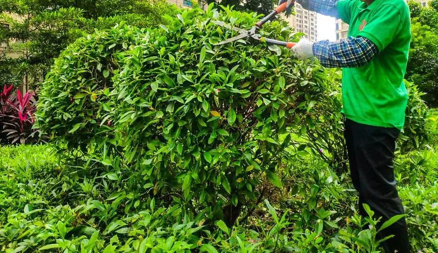 网球拍初学者尺寸多大好